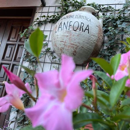 Ferienwohnung L' Anfora Locazione Turistica Terni Exterior foto